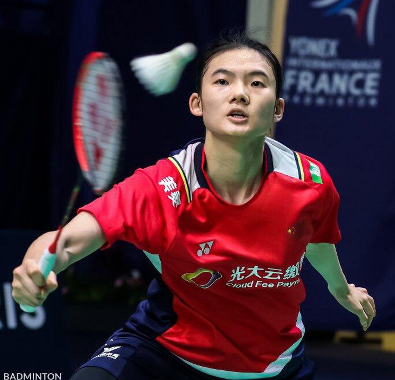 与智商的巅 与智商的巅