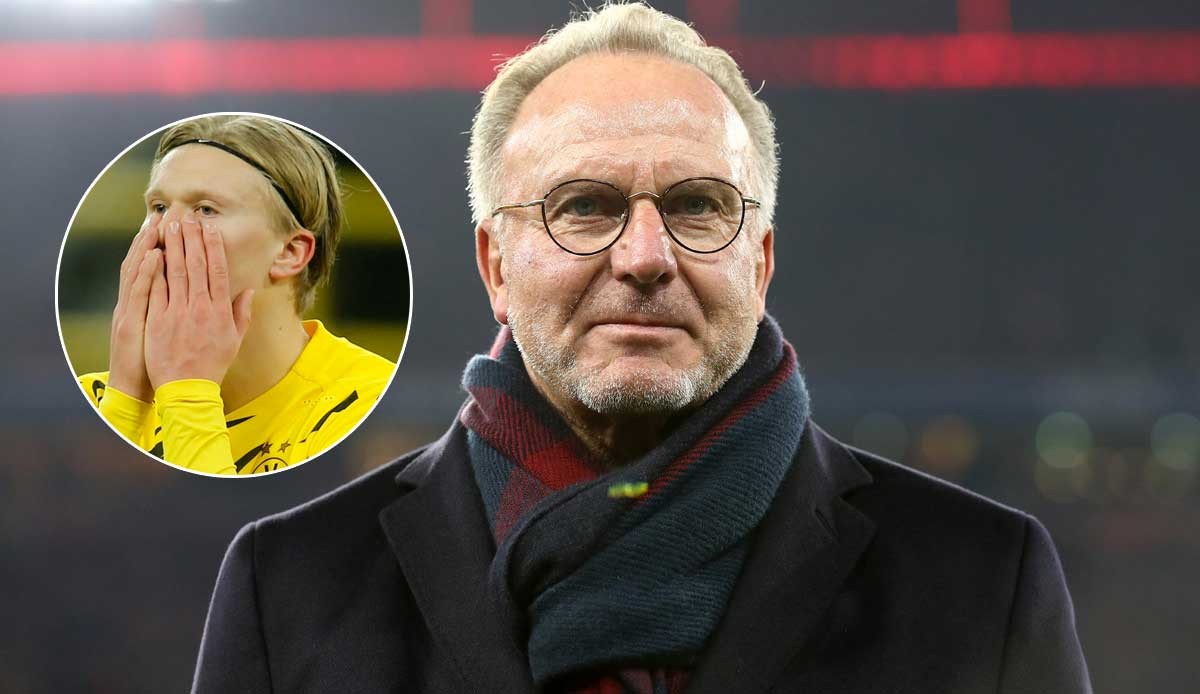 行侠全胜晋 行侠全胜晋